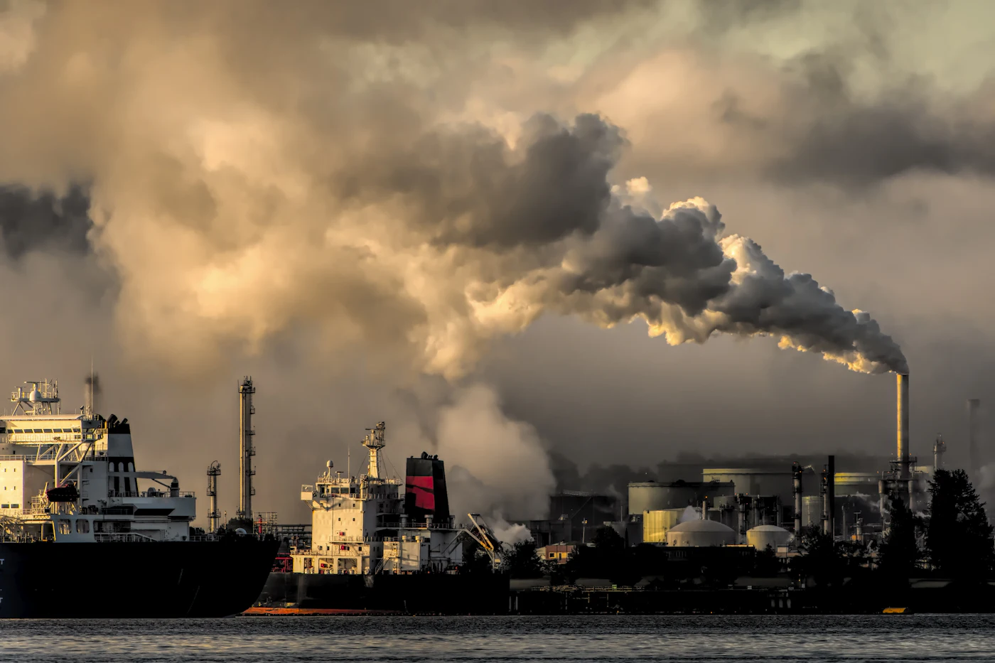 Contraste entre área industrial e natureza preservada