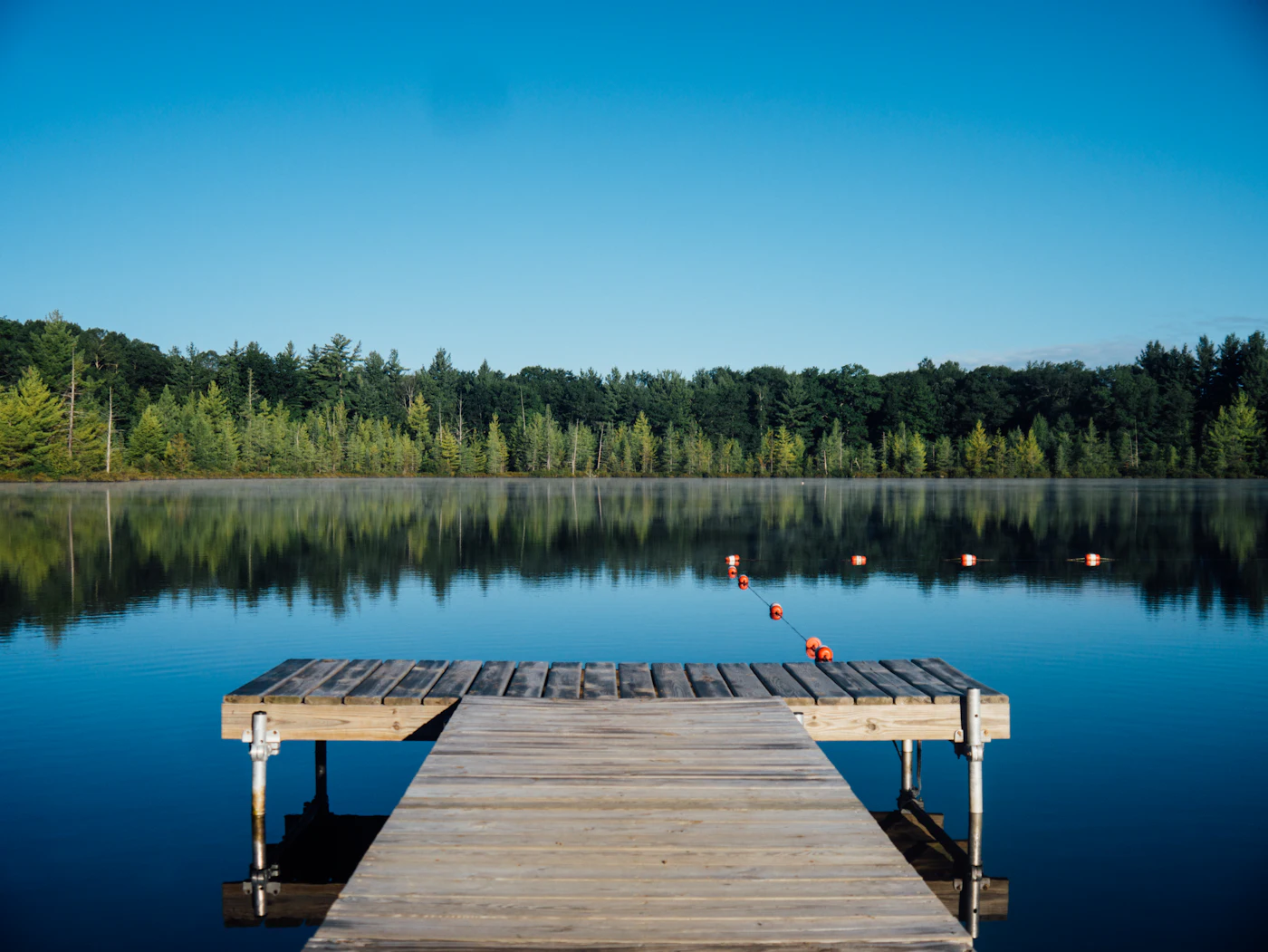 Lago tranquilo com vegetação ao amanhecer