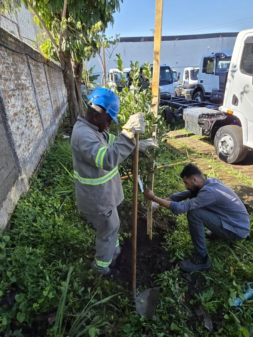 Preparo da cova e plantio da muda durante a ação da JSR