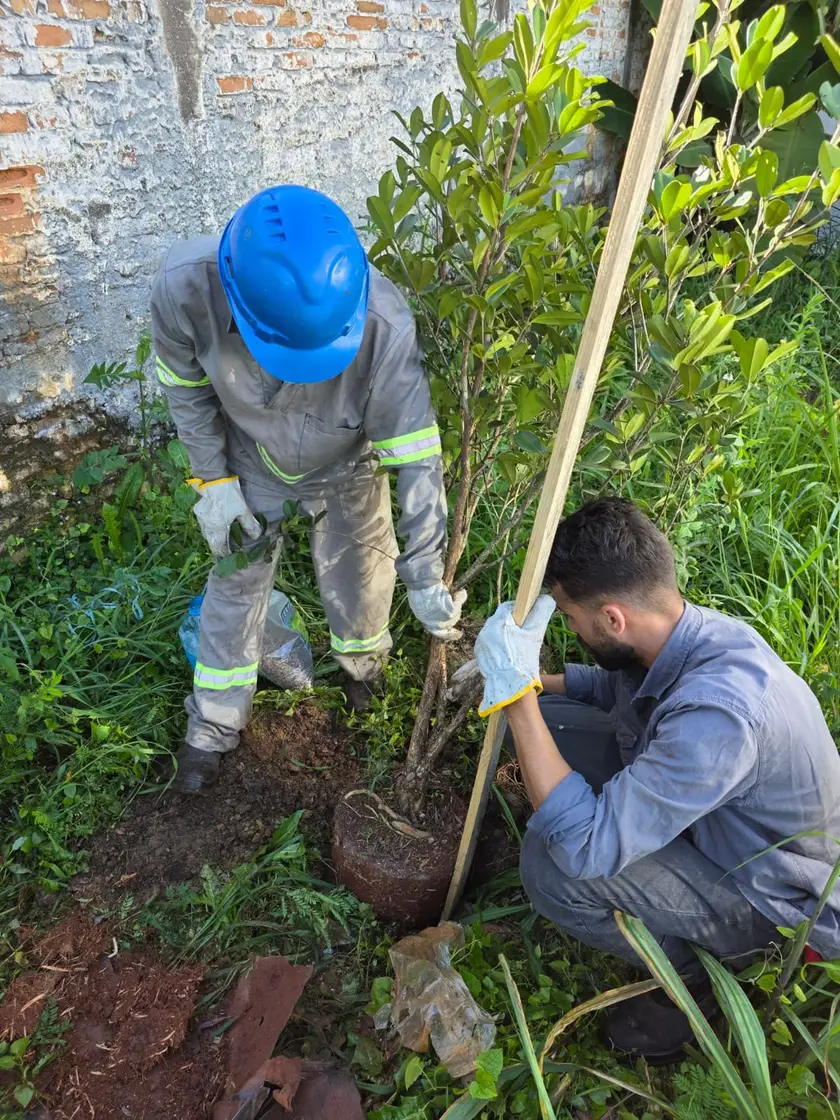 Equipe da JSR plantando muda de espécie nativa em conjunto