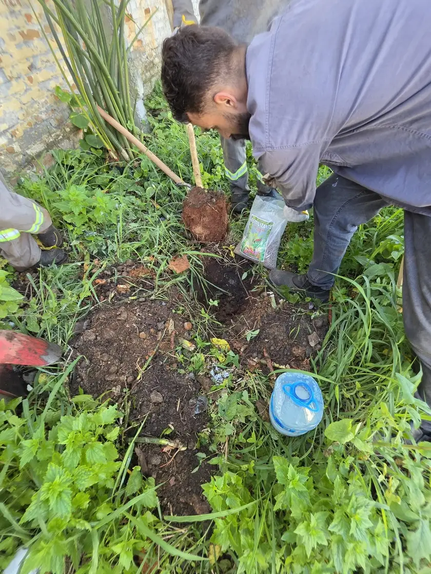 Equipe da JSR plantando mudas de espécies nativas em São Bernardo do Campo