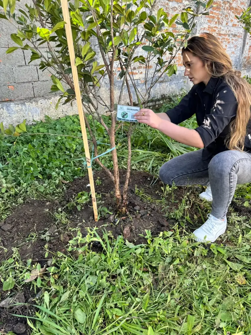 Especialista da JSR fixando a plaqueta de identificação da muda recém-plantada