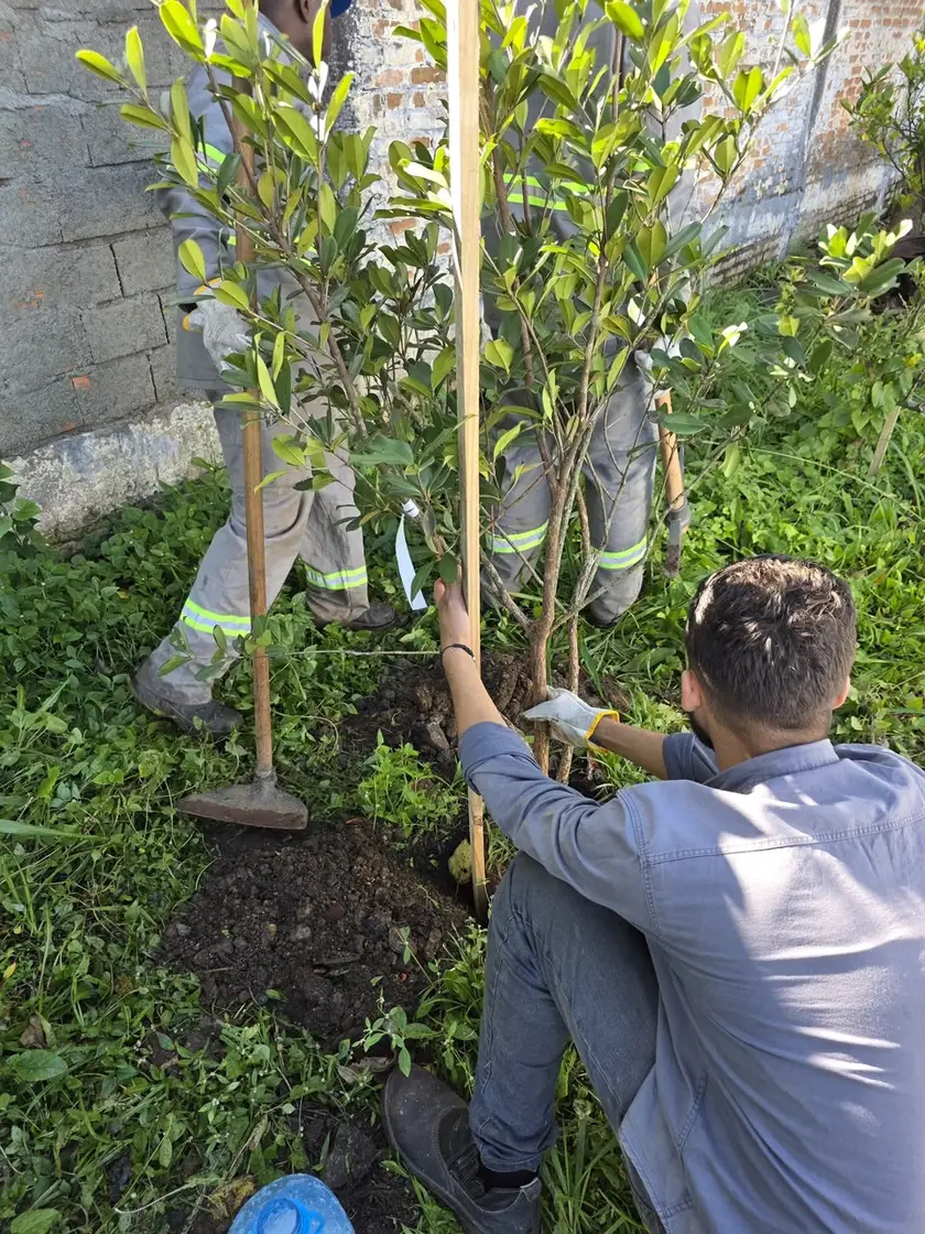 Profissional plantando muda de árvore nativa durante a ação da JSR